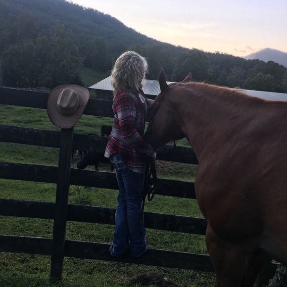 Meet your Posher, Whitley - Picture 2 of 2